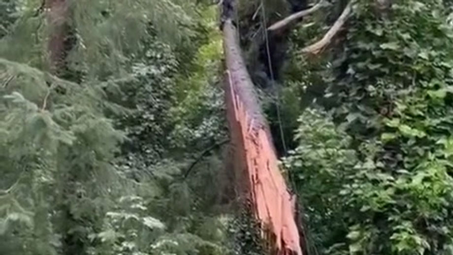 Tension, Timber & a Floating Anchor!